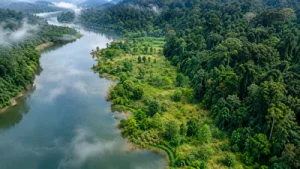 In 2003, China planted native tree patches along a degraded: A practical reader guide