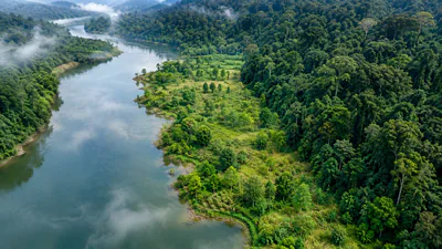 In 2003, China planted native tree patches along a degraded: A practical reader guide
