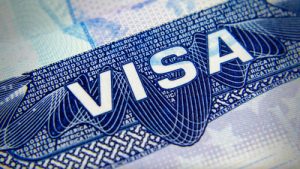 Arrivals from India on US student visas fell 39% in August: A practical reader guide