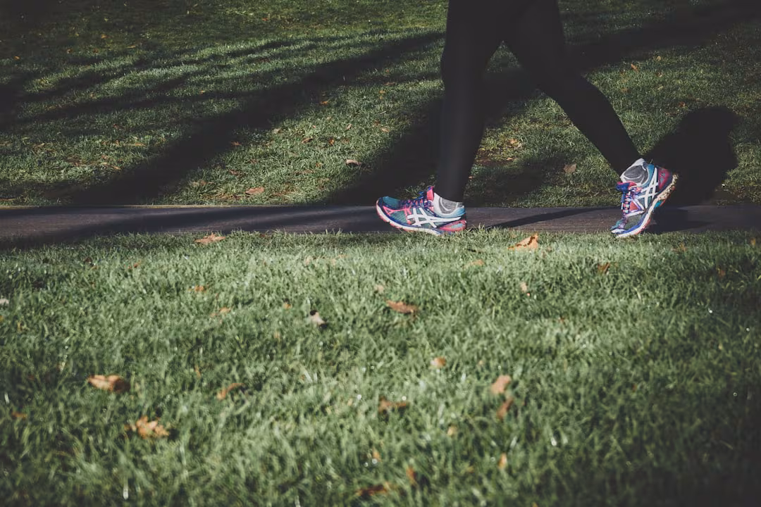 A relaxed walk of 10 to 15 minutes is a practical place to start: A practical reader guide